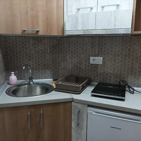 Apartment Nitex Soko Banja